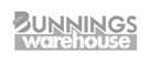 Bunnings-green